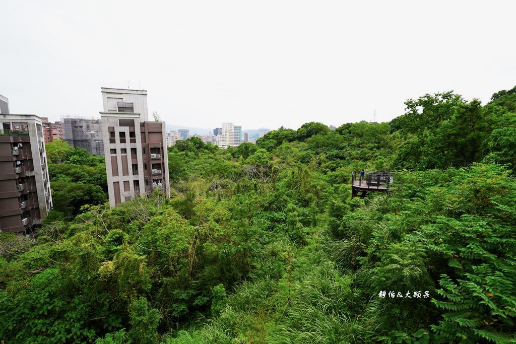 文山森林公園趣探險之丘 ❙ 森林系兒童遊戲場、樹梢步道，台北