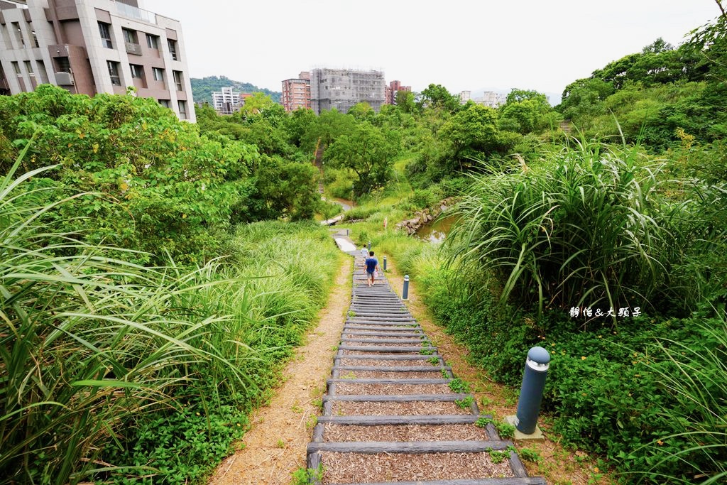 文山森林公園趣探險之丘 ❙ 森林系兒童遊戲場、樹梢步道，台北