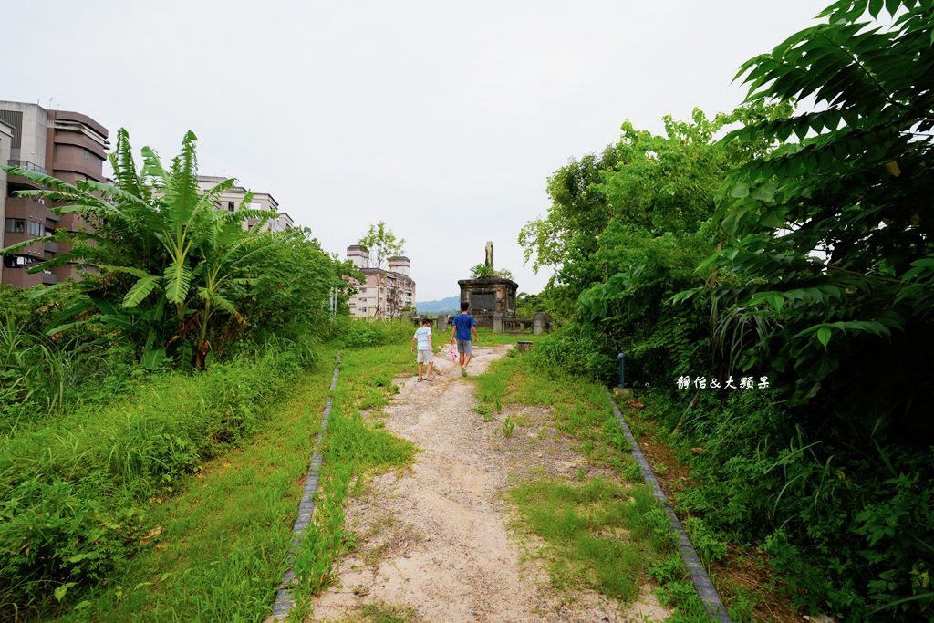 文山森林公園趣探險之丘 ❙ 森林系兒童遊戲場、樹梢步道，台北