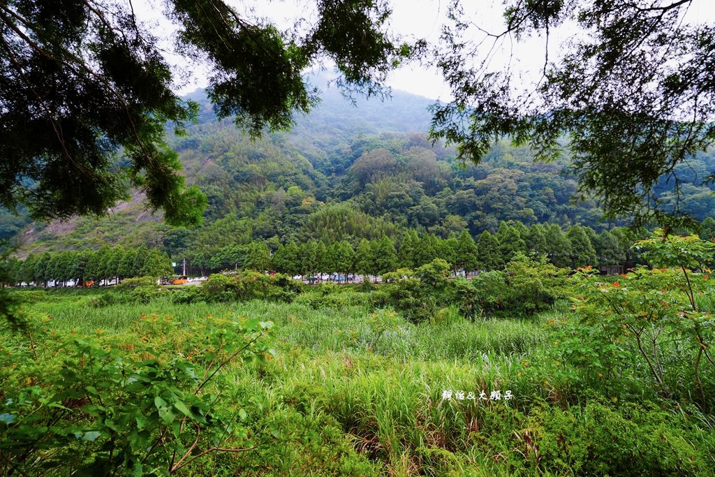 野薑花白宮露營區 ❙ 免搭帳貨櫃屋，親子主題房，有冷氣，新竹