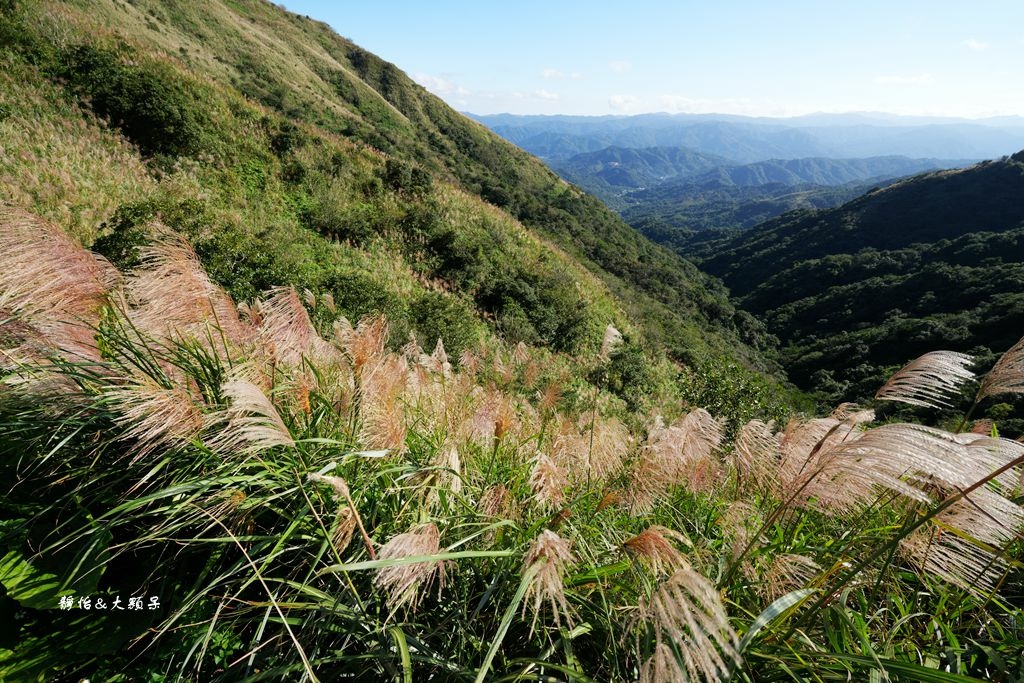 不厭亭 ❙ 小武嶺雪白芒花，絕美山景，最美寂寞公路，瑞芳九份