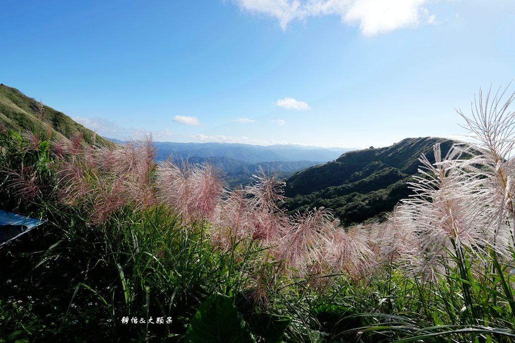 不厭亭 ❙ 小武嶺雪白芒花，絕美山景，最美寂寞公路，瑞芳九份