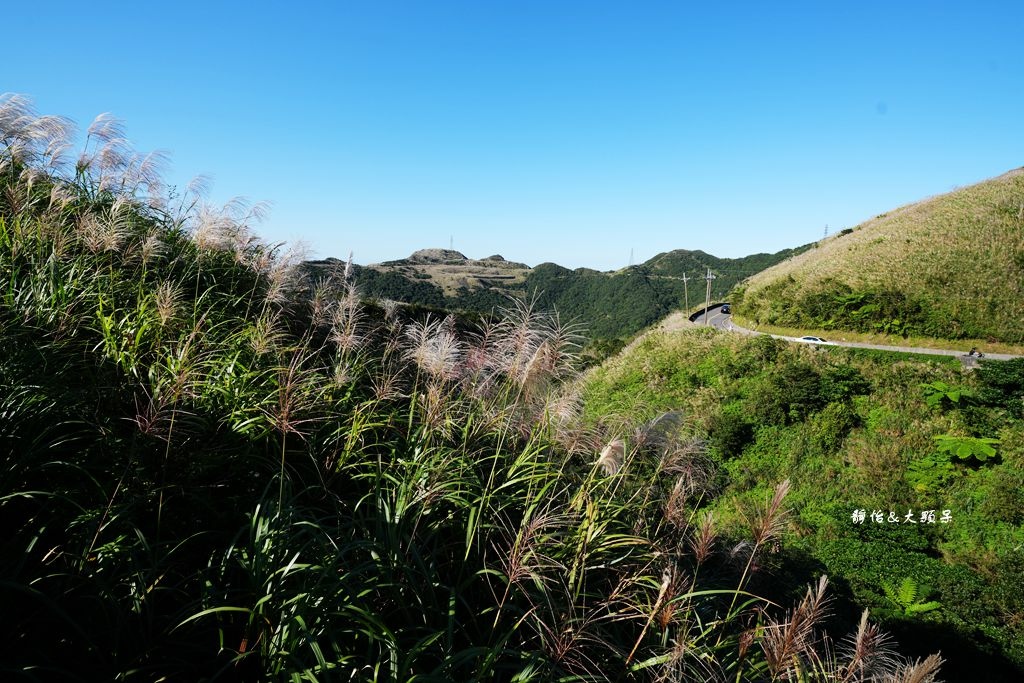 不厭亭 ❙ 小武嶺雪白芒花，絕美山景，最美寂寞公路，瑞芳九份