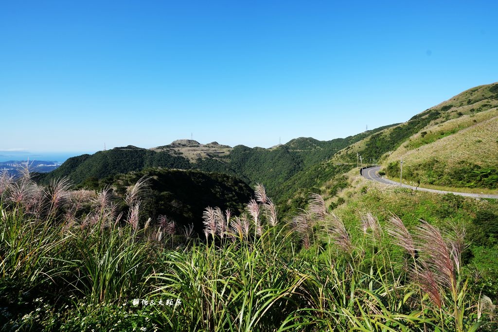 不厭亭 ❙ 小武嶺雪白芒花，絕美山景，最美寂寞公路，瑞芳九份