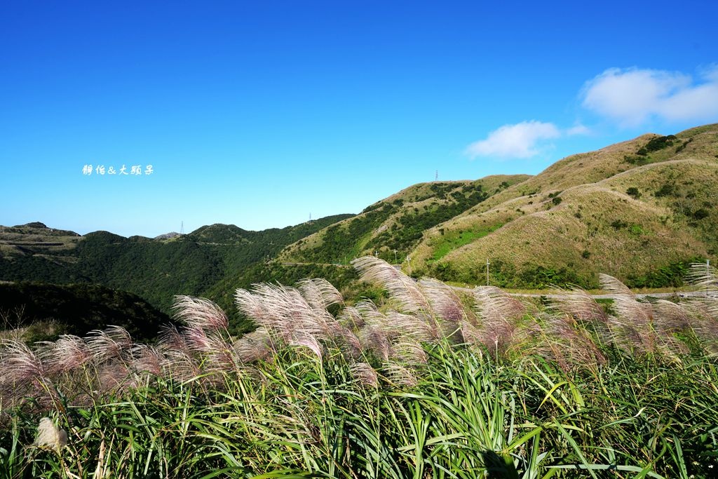 不厭亭 ❙ 小武嶺雪白芒花，絕美山景，最美寂寞公路，瑞芳九份