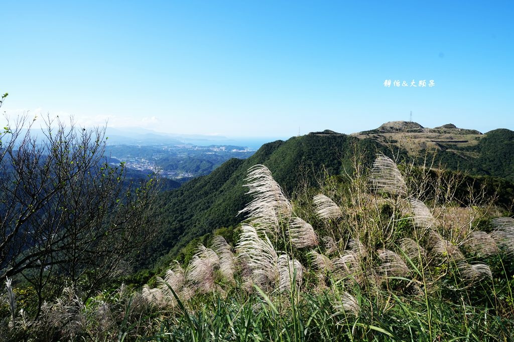 不厭亭 ❙ 小武嶺雪白芒花，絕美山景，最美寂寞公路，瑞芳九份