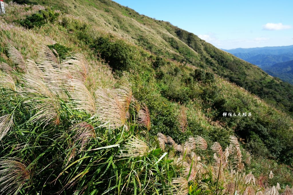 不厭亭 ❙ 小武嶺雪白芒花，絕美山景，最美寂寞公路，瑞芳九份