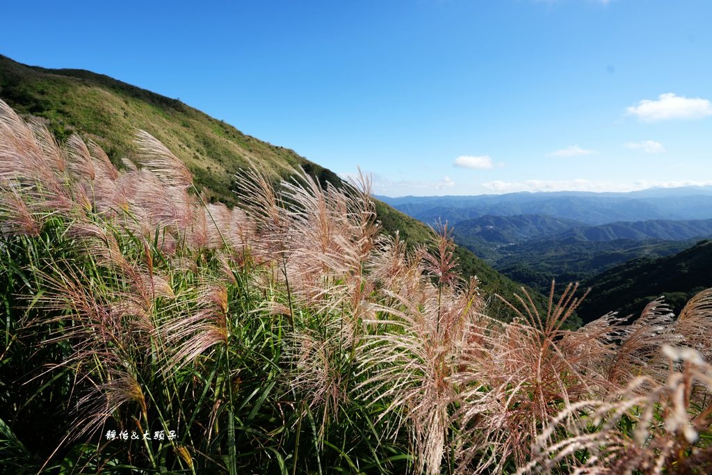 不厭亭 ❙ 小武嶺雪白芒花，絕美山景，最美寂寞公路，瑞芳九份