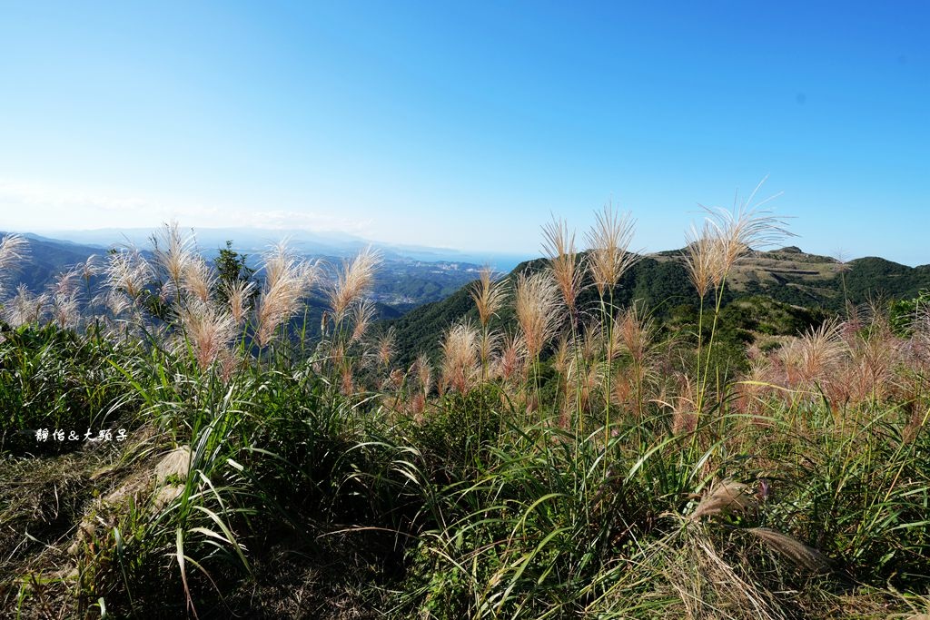 不厭亭 ❙ 小武嶺雪白芒花，絕美山景，最美寂寞公路，瑞芳九份