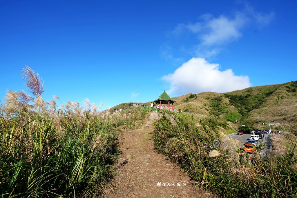 不厭亭 ❙ 小武嶺雪白芒花，絕美山景，最美寂寞公路，瑞芳九份