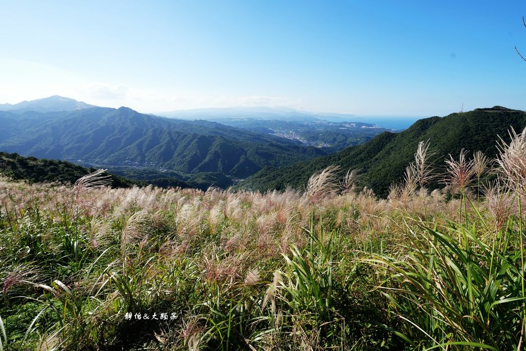 不厭亭 ❙ 小武嶺雪白芒花，絕美山景，最美寂寞公路，瑞芳九份