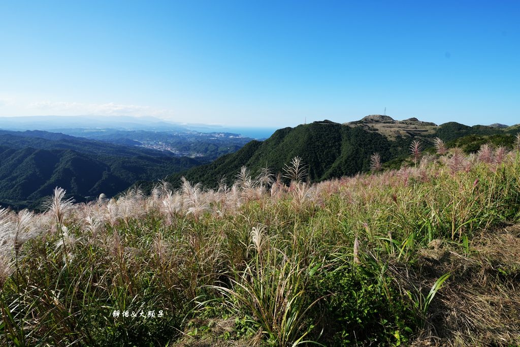 不厭亭 ❙ 小武嶺雪白芒花，絕美山景，最美寂寞公路，瑞芳九份