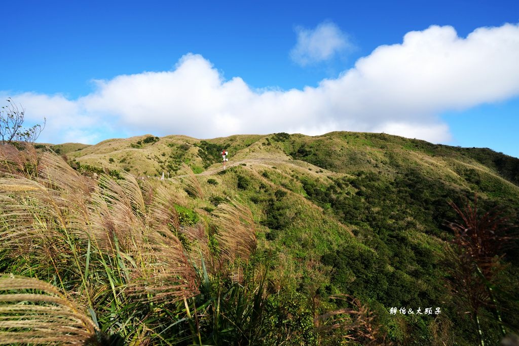 不厭亭 ❙ 小武嶺雪白芒花，絕美山景，最美寂寞公路，瑞芳九份