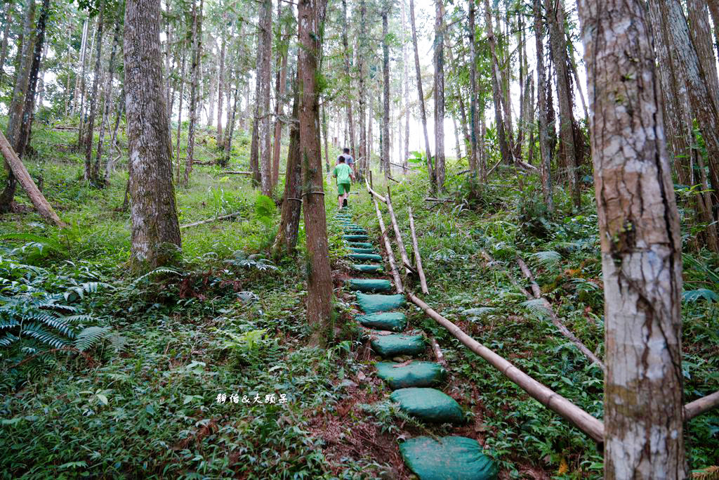 梅后秘境咖啡廳 ❙ 山林裡露天咖啡、森林步道、梅后蔓瀑布，新