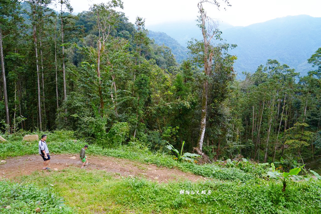 梅后秘境咖啡廳 ❙ 山林裡露天咖啡、森林步道、梅后蔓瀑布，新