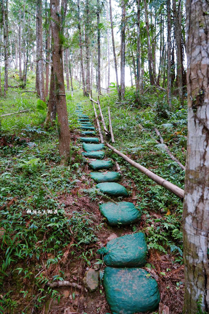 梅后秘境咖啡廳 ❙ 山林裡露天咖啡、森林步道、梅后蔓瀑布，新