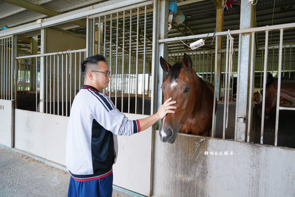 尼普頓馬術創藝園區 ❙ 體驗幫馬兒刷毛、穿裝備的樂趣，戶外騎