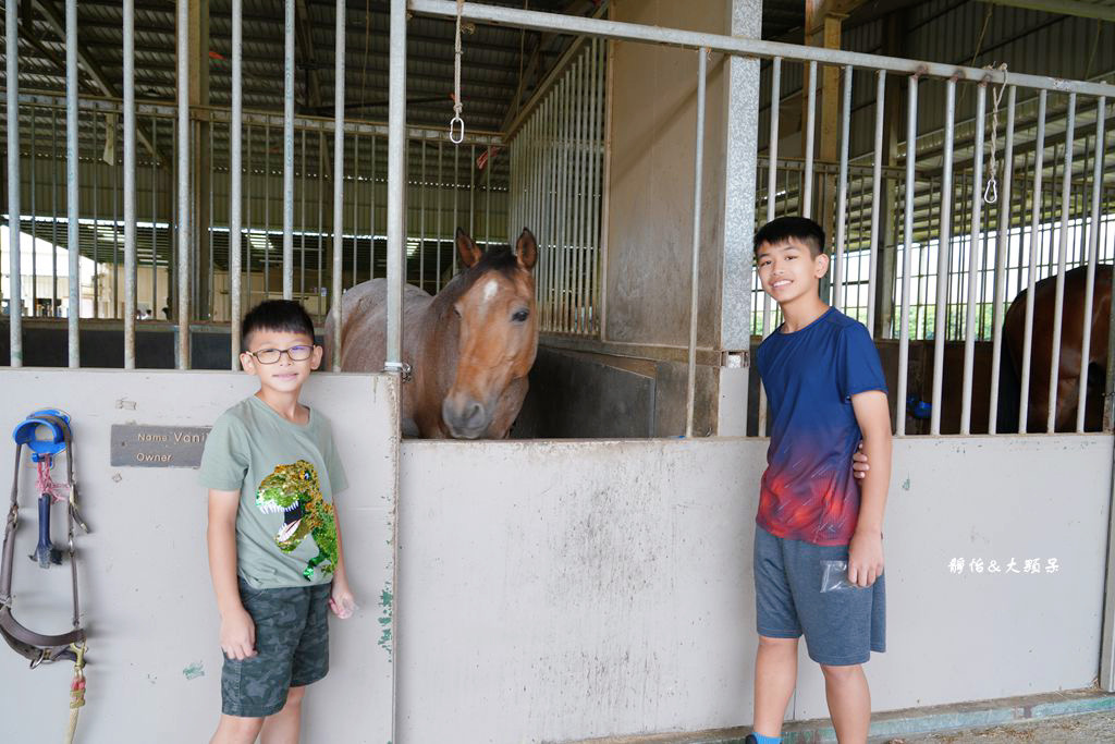 尼普頓馬術創藝園區 ❙ 體驗幫馬兒刷毛、穿裝備的樂趣，戶外騎