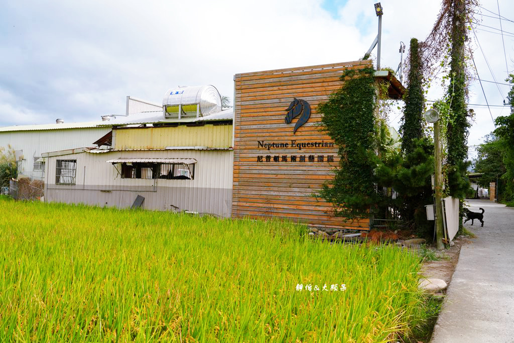 尼普頓馬術創藝園區 ❙ 體驗幫馬兒刷毛、穿裝備的樂趣，戶外騎