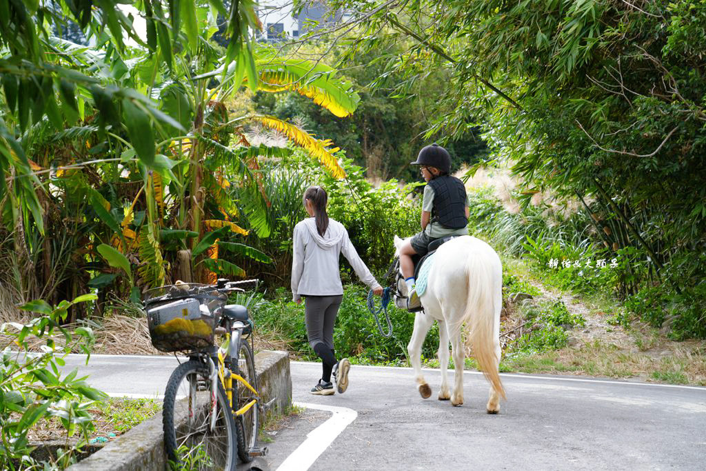 尼普頓馬術創藝園區 ❙ 體驗幫馬兒刷毛、穿裝備的樂趣，戶外騎