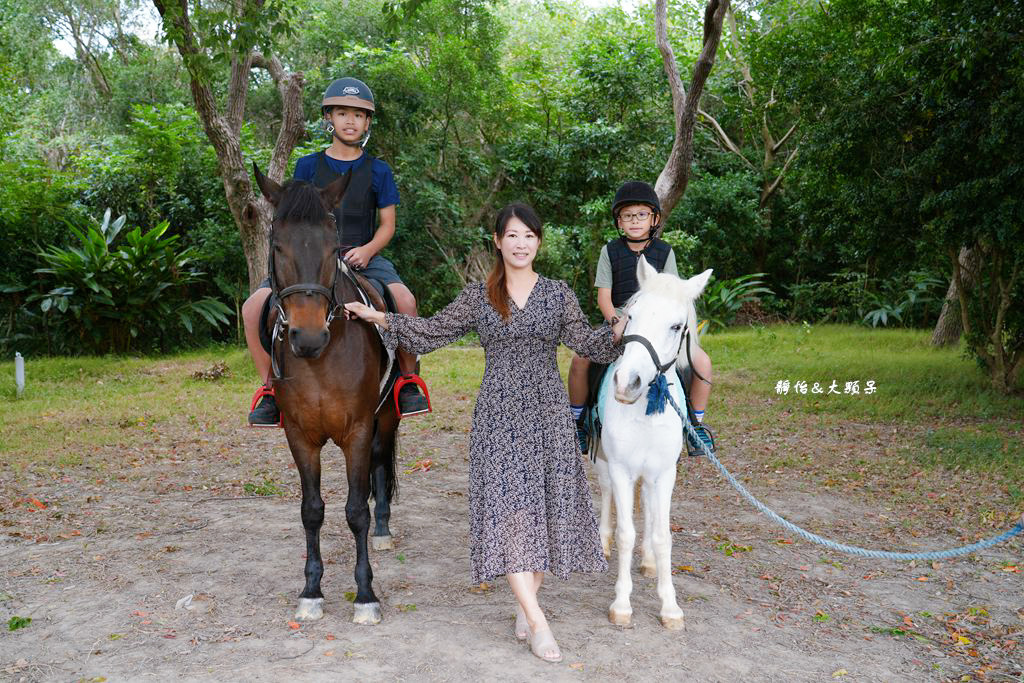 尼普頓馬術創藝園區 ❙ 體驗幫馬兒刷毛、穿裝備的樂趣，戶外騎