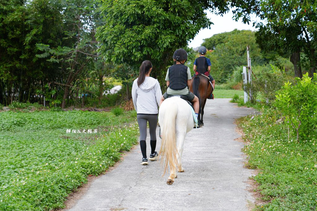 尼普頓馬術創藝園區 ❙ 體驗幫馬兒刷毛、穿裝備的樂趣，戶外騎