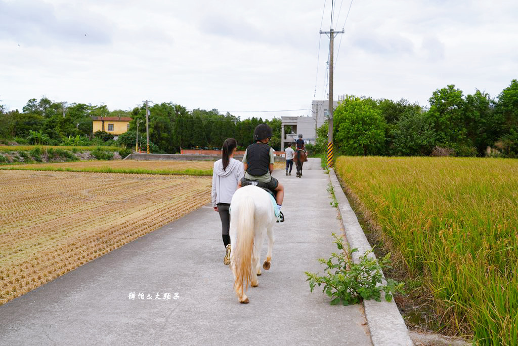 尼普頓馬術創藝園區 ❙ 體驗幫馬兒刷毛、穿裝備的樂趣，戶外騎