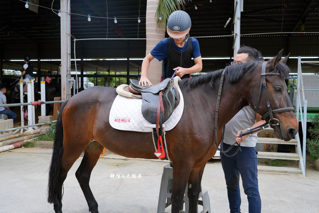 尼普頓馬術創藝園區 ❙ 體驗幫馬兒刷毛、穿裝備的樂趣，戶外騎