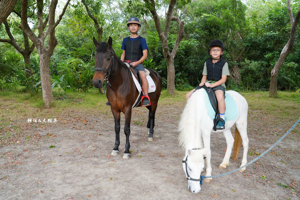 尼普頓馬術創藝園區 ❙ 體驗幫馬兒刷毛、穿裝備的樂趣，戶外騎