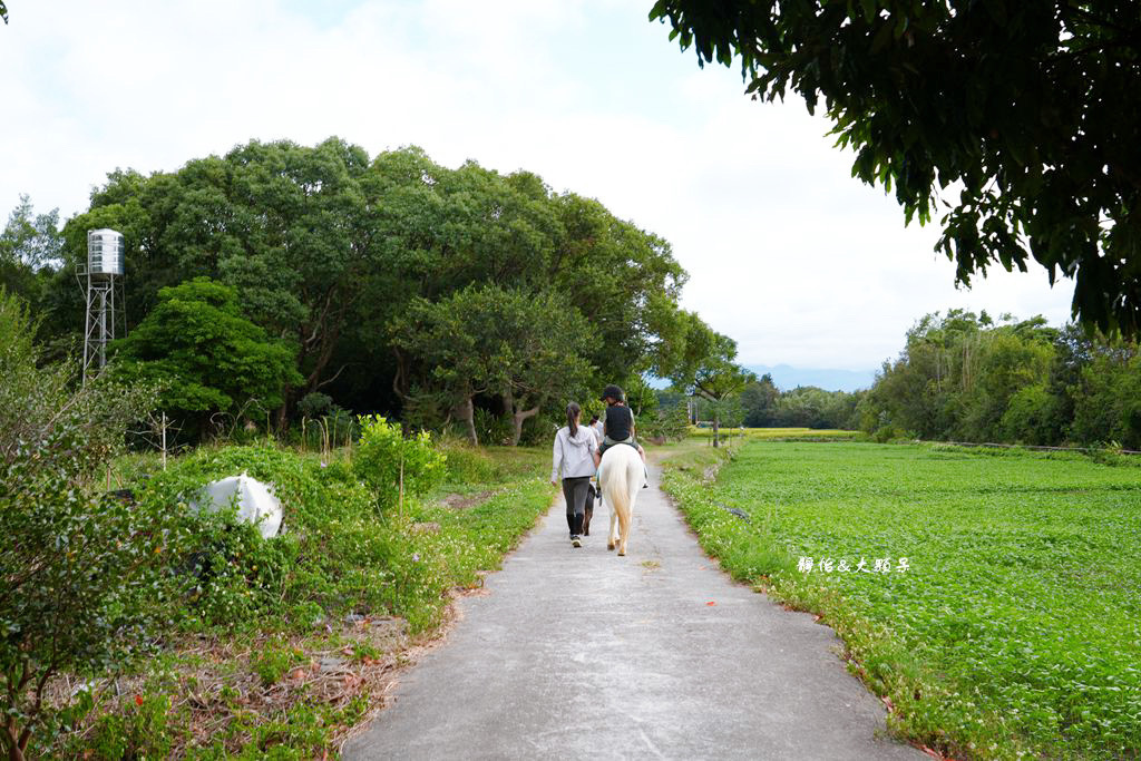 尼普頓馬術創藝園區 ❙ 體驗幫馬兒刷毛、穿裝備的樂趣，戶外騎