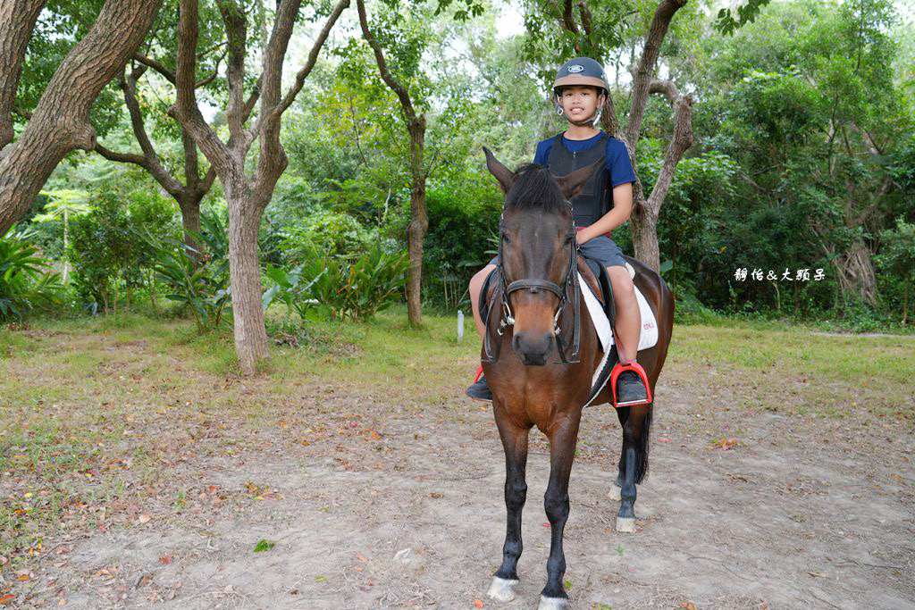 尼普頓馬術創藝園區 ❙ 體驗幫馬兒刷毛、穿裝備的樂趣，戶外騎