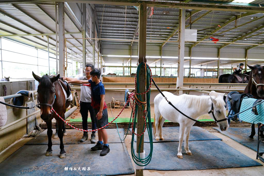 尼普頓馬術創藝園區 ❙ 體驗幫馬兒刷毛、穿裝備的樂趣，戶外騎