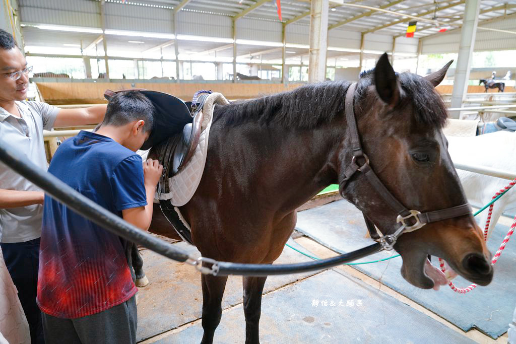 尼普頓馬術創藝園區 ❙ 體驗幫馬兒刷毛、穿裝備的樂趣，戶外騎