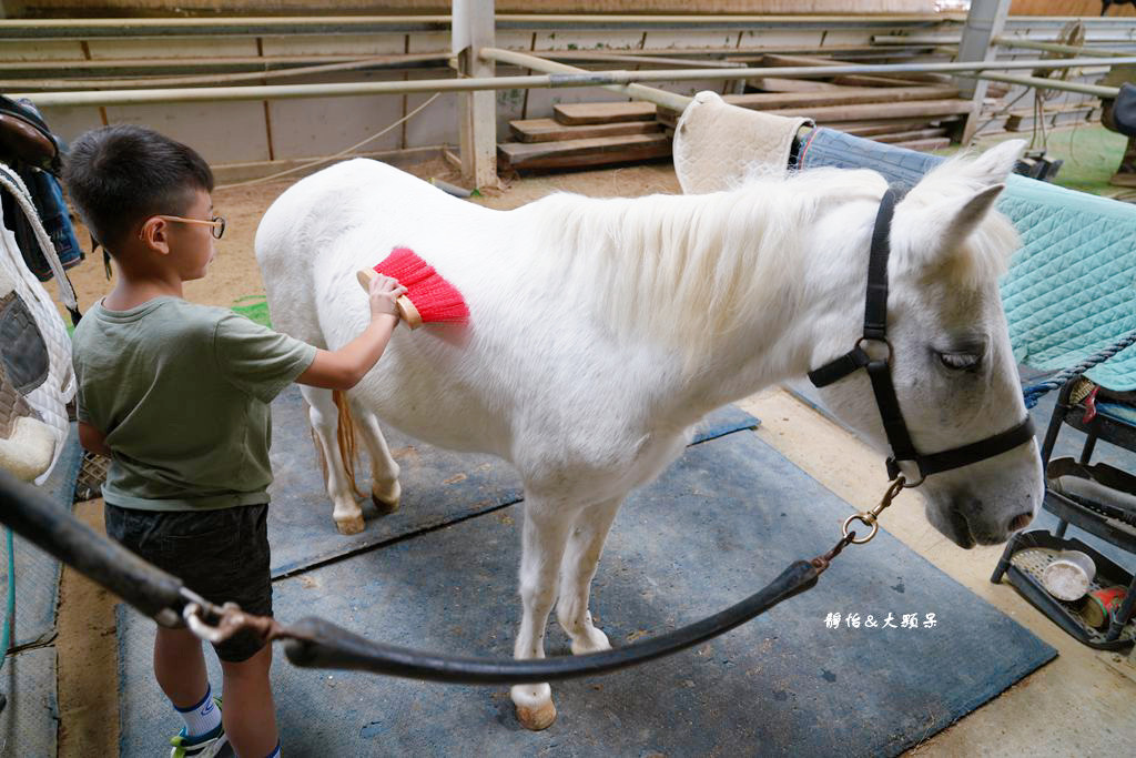 尼普頓馬術創藝園區 ❙ 體驗幫馬兒刷毛、穿裝備的樂趣，戶外騎