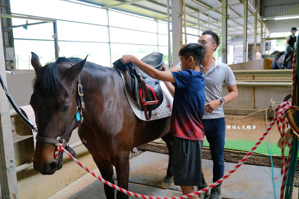 尼普頓馬術創藝園區 ❙ 體驗幫馬兒刷毛、穿裝備的樂趣，戶外騎