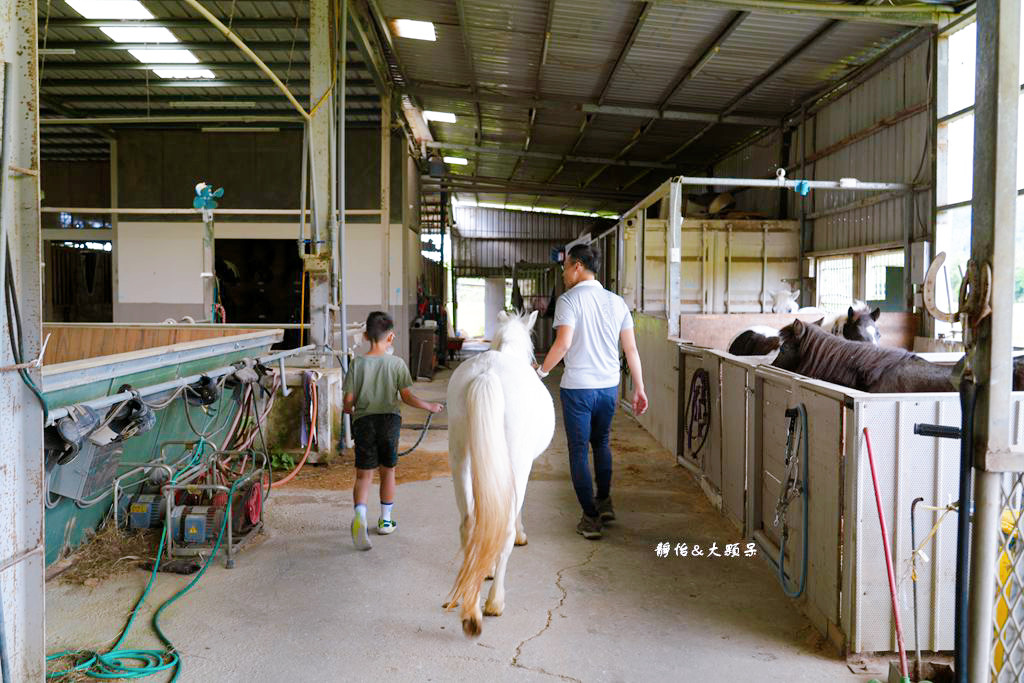 尼普頓馬術創藝園區 ❙ 體驗幫馬兒刷毛、穿裝備的樂趣，戶外騎