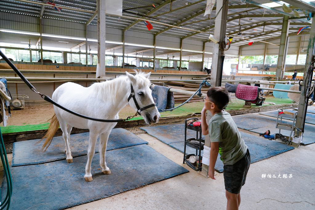 尼普頓馬術創藝園區 ❙ 體驗幫馬兒刷毛、穿裝備的樂趣，戶外騎