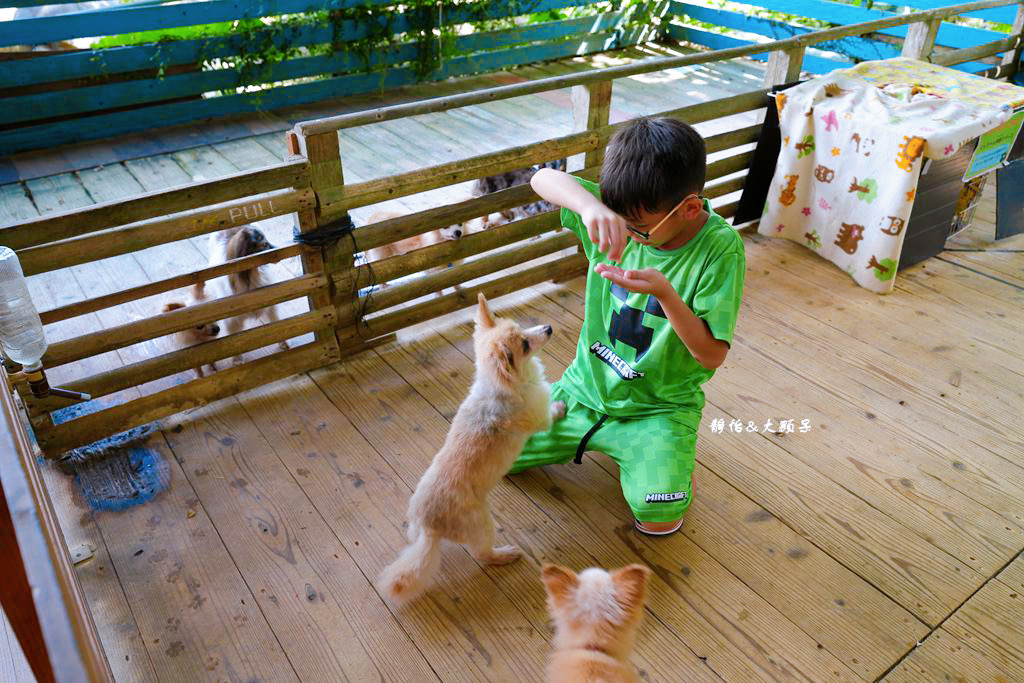 沖繩自由行 ❙ 名護自然動植物公園，近距離與可愛動物互動，沖