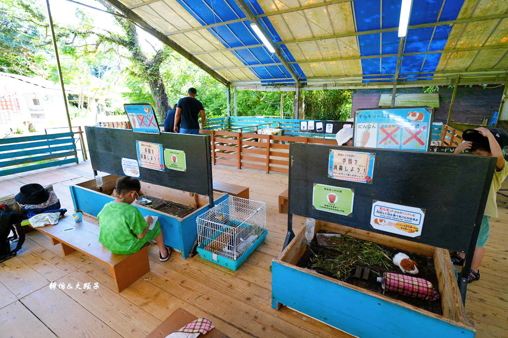 沖繩自由行 ❙ 名護自然動植物公園，近距離與可愛動物互動，沖