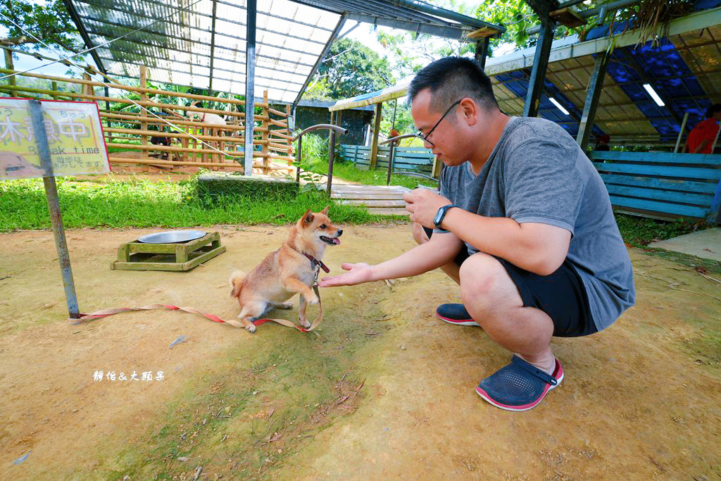 沖繩自由行 ❙ 名護自然動植物公園，近距離與可愛動物互動，沖