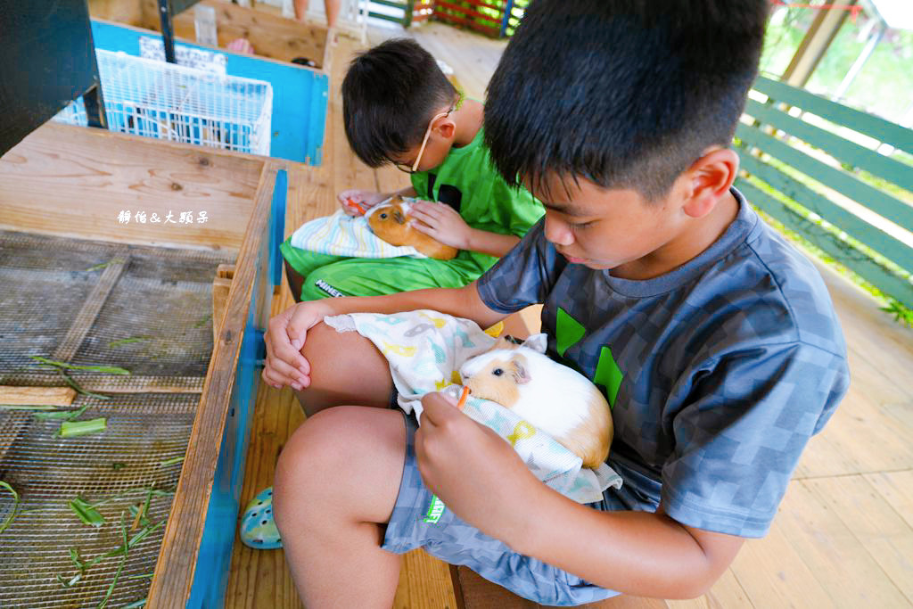 沖繩自由行 ❙ 名護自然動植物公園，近距離與可愛動物互動，沖