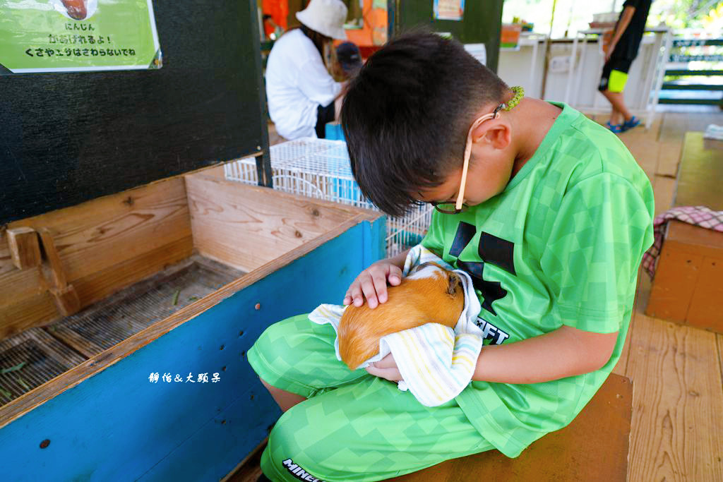 沖繩自由行 ❙ 名護自然動植物公園，近距離與可愛動物互動，沖