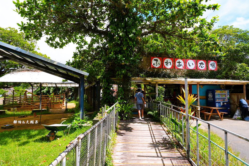 沖繩自由行 ❙ 名護自然動植物公園，近距離與可愛動物互動，沖