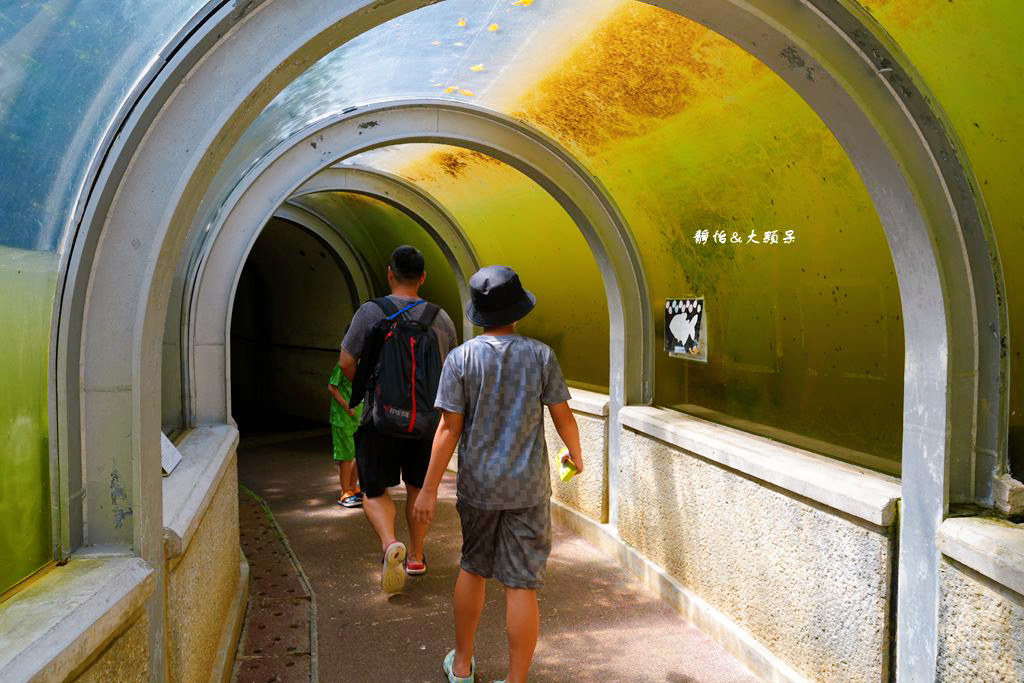 沖繩自由行 ❙ 名護自然動植物公園，近距離與可愛動物互動，沖