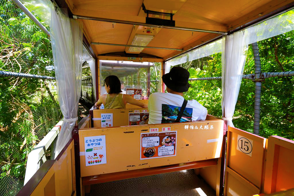 沖繩自由行 ❙ 名護自然動植物公園，近距離與可愛動物互動，沖