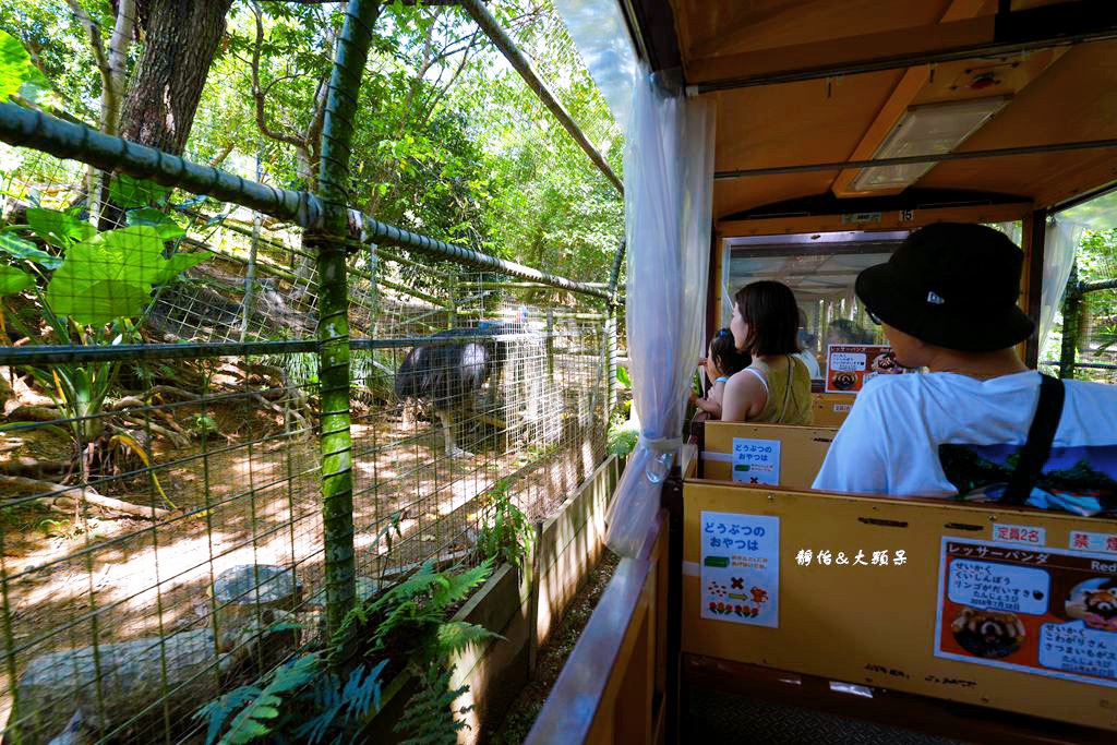 沖繩自由行 ❙ 名護自然動植物公園，近距離與可愛動物互動，沖