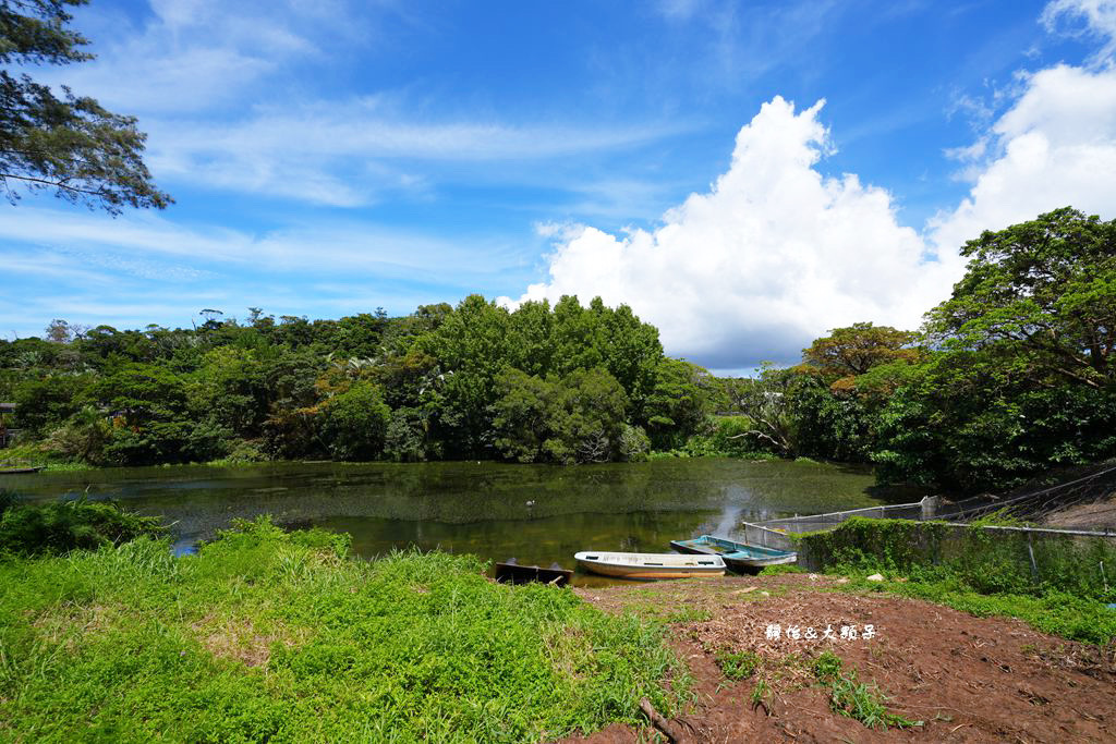 沖繩自由行 ❙ 名護自然動植物公園，近距離與可愛動物互動，沖