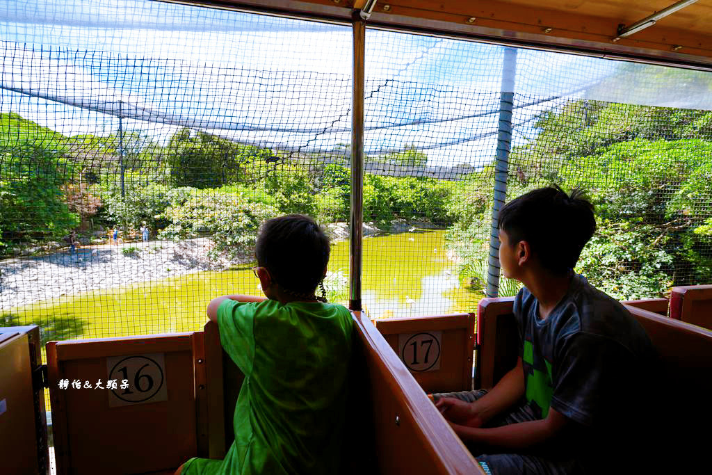 沖繩自由行 ❙ 名護自然動植物公園，近距離與可愛動物互動，沖