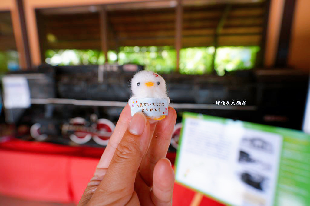 沖繩自由行 ❙ 名護自然動植物公園，近距離與可愛動物互動，沖