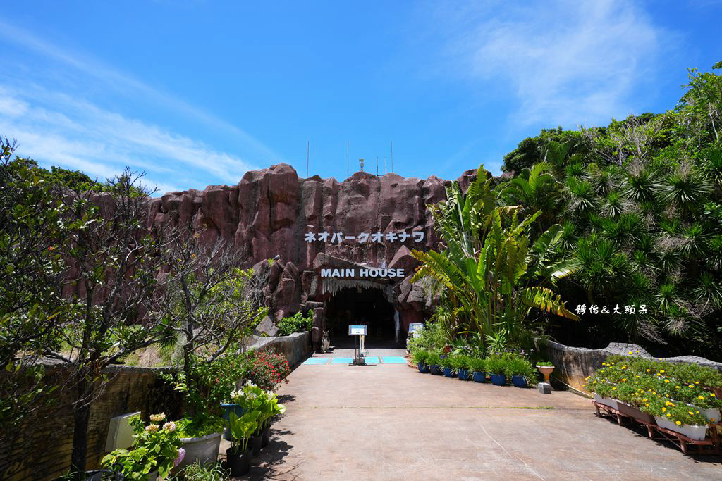 沖繩自由行 ❙ 名護自然動植物公園，近距離與可愛動物互動，沖